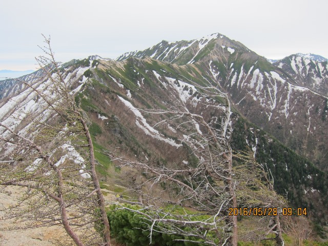 b0148050_20572060.jpg