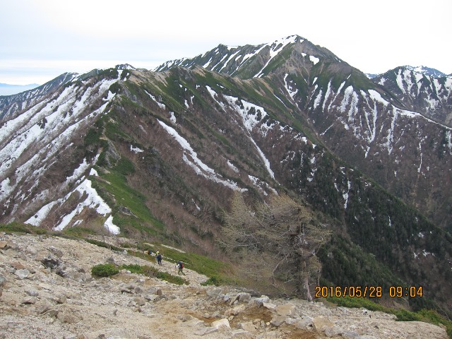 b0148050_20574526.jpg
