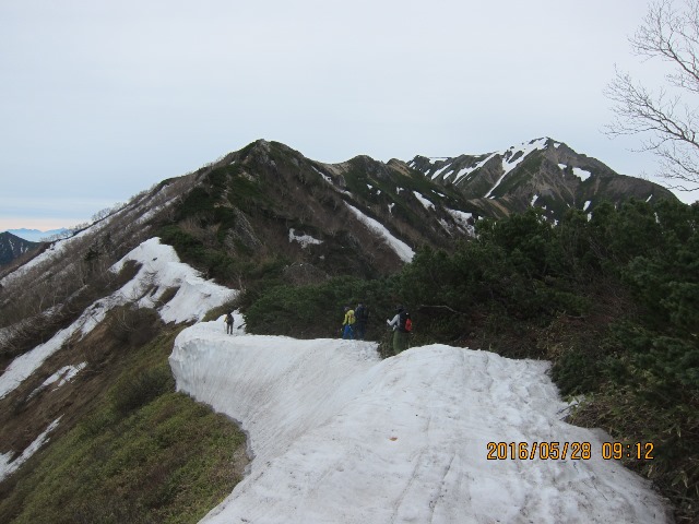 b0148050_2058046.jpg
