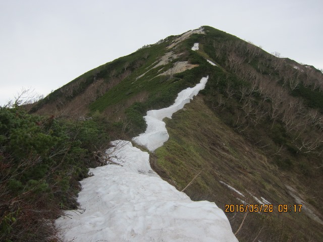 b0148050_20585573.jpg