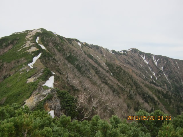 b0148050_20591526.jpg