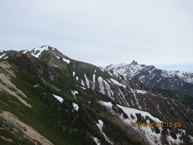 b0148050_20595026.jpg