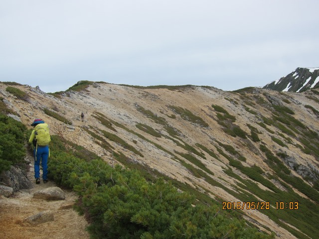 b0148050_2101561.jpg