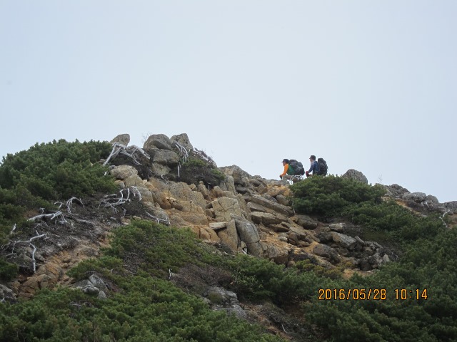 b0148050_2102726.jpg