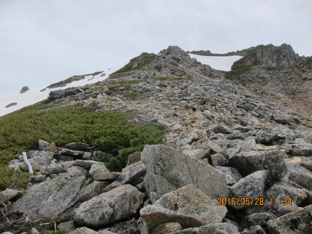 b0148050_2164453.jpg
