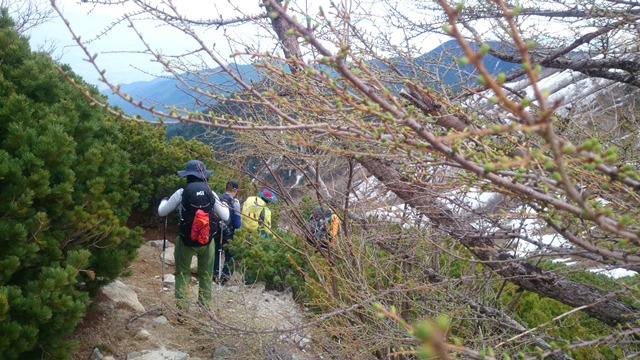 b0148050_22123263.jpg