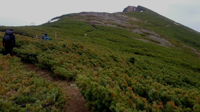 b0148050_22265433.jpg