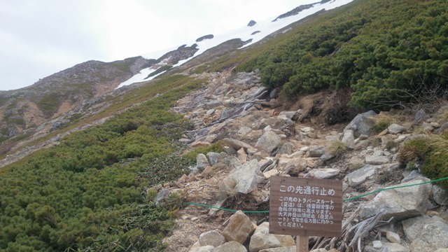 b0148050_22414858.jpg