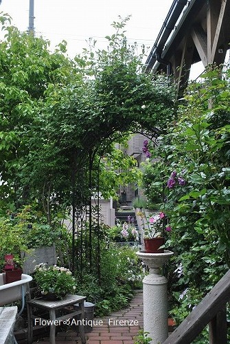 e0159050_165746.jpg