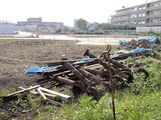 c0001653_23424917.jpg