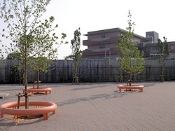c0001653_23441280.jpg