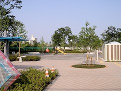 c0001653_23442812.jpg