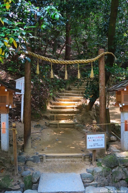 f0351853_02073379.jpg