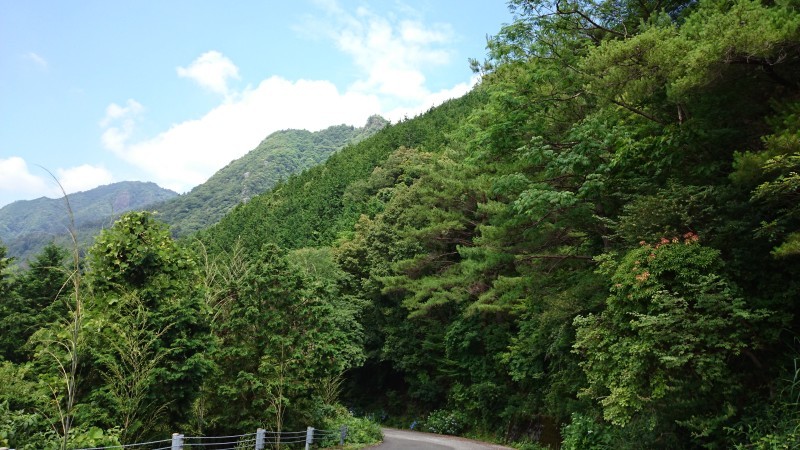 b0370155_17055512.jpg