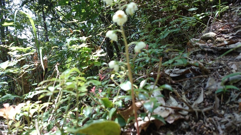 b0370155_17063112.jpg