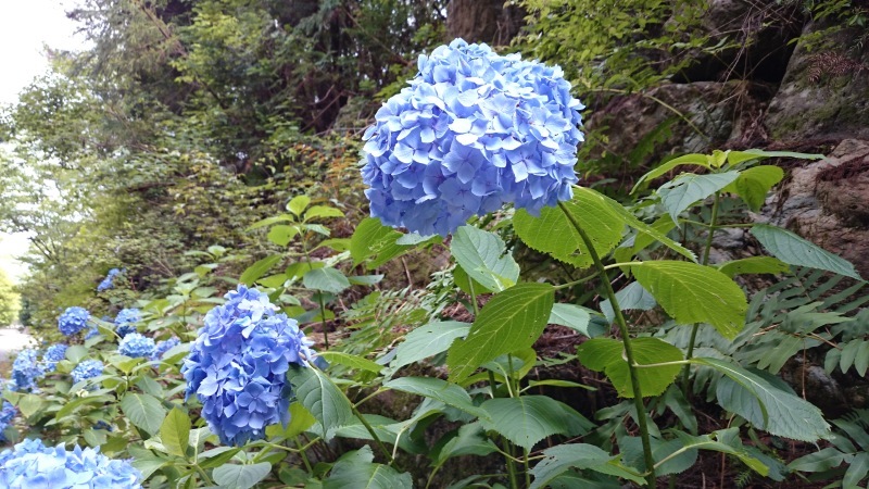 b0370155_17082793.jpg