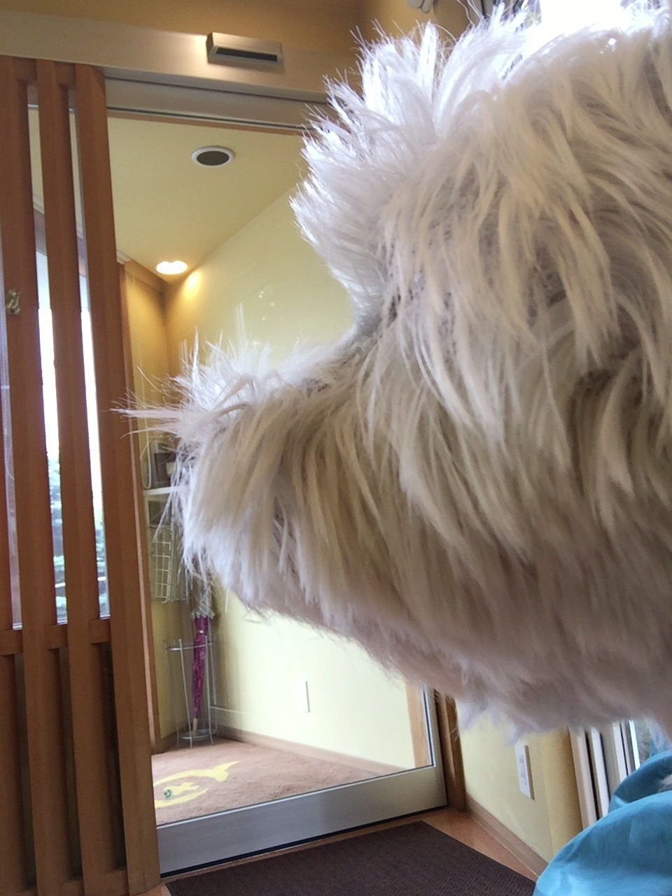 a0337860_23571974.jpeg
