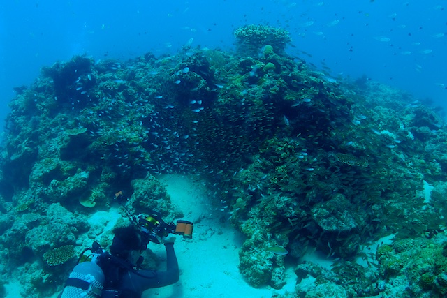 b0062363_2124331.jpg