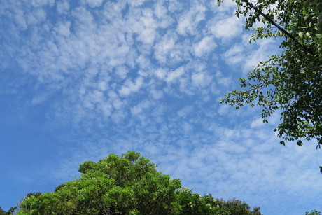 e0292172_20441542.jpg