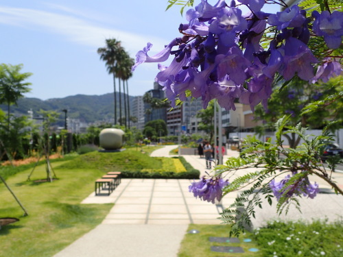 c0286574_16380028.jpg