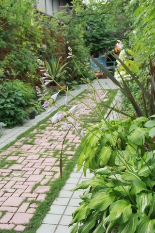 e0154682_00014133.jpg