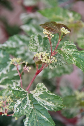 e0154682_00071694.jpg
