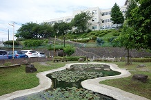 d0183387_15065435.jpg