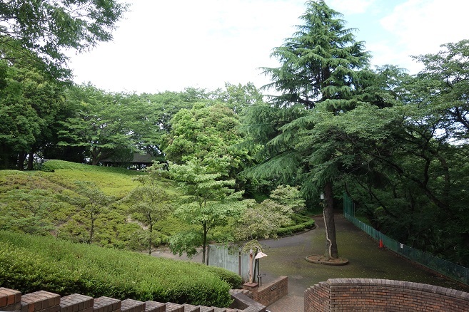 d0183387_15411522.jpg