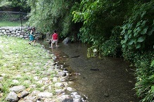 d0183387_16212902.jpg