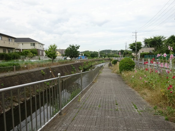 d0183387_17333321.jpg