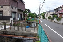 d0183387_21491324.jpg