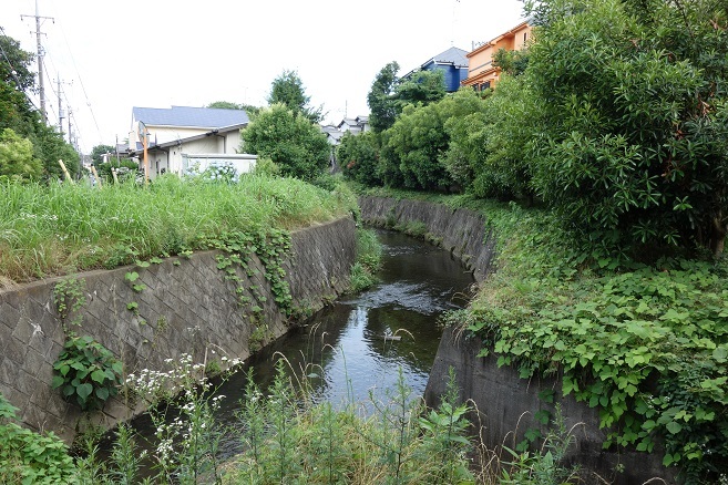 d0183387_21524661.jpg