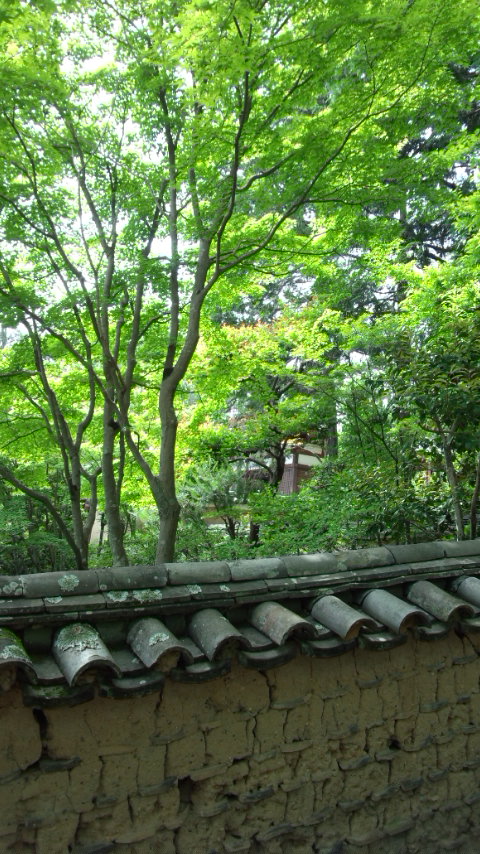 f0115787_1621961.jpg