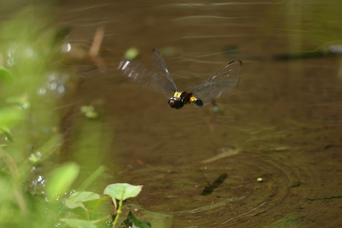e0353790_12533759.jpg