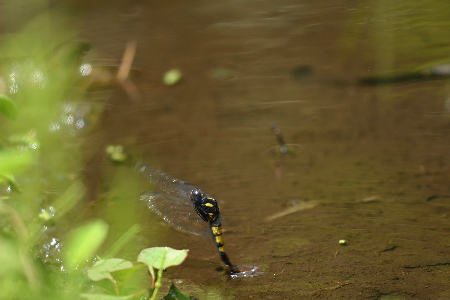 e0353790_13020647.jpg