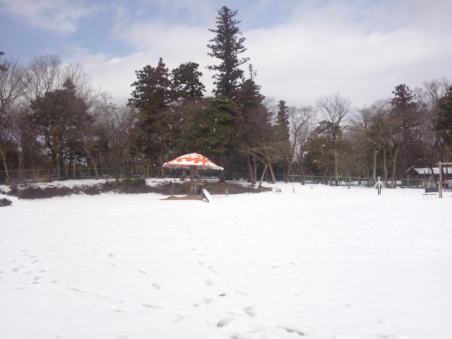 a0105396_14302849.jpg