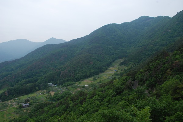 c0145897_2383076.jpg