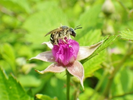 a0125598_22373355.jpg