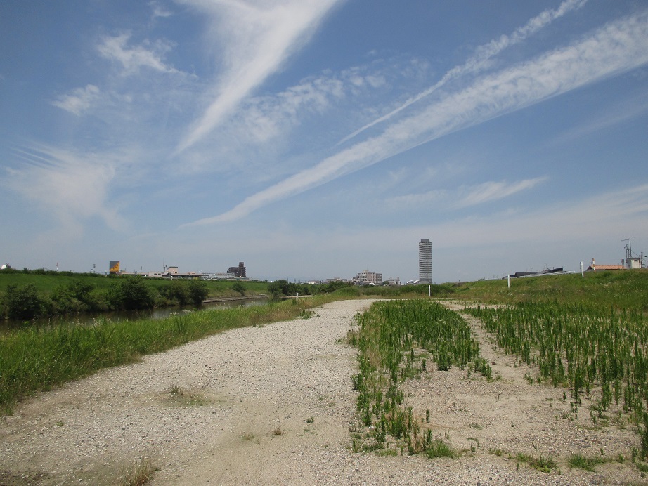 e0242504_05201004.jpg