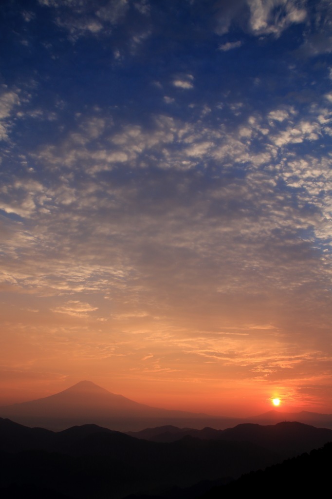 a0188405_20264569.jpg