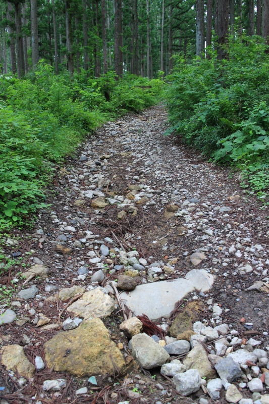 b0050305_18324467.jpg