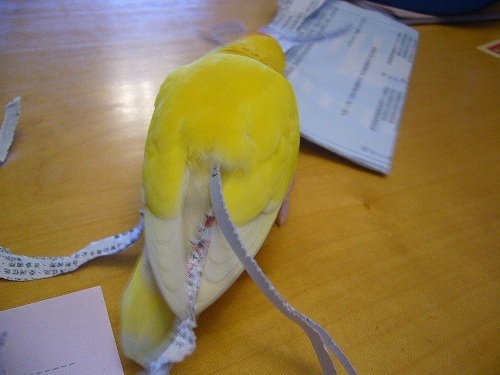 b0182708_09475837.jpg