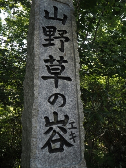 b0307008_17424716.jpg