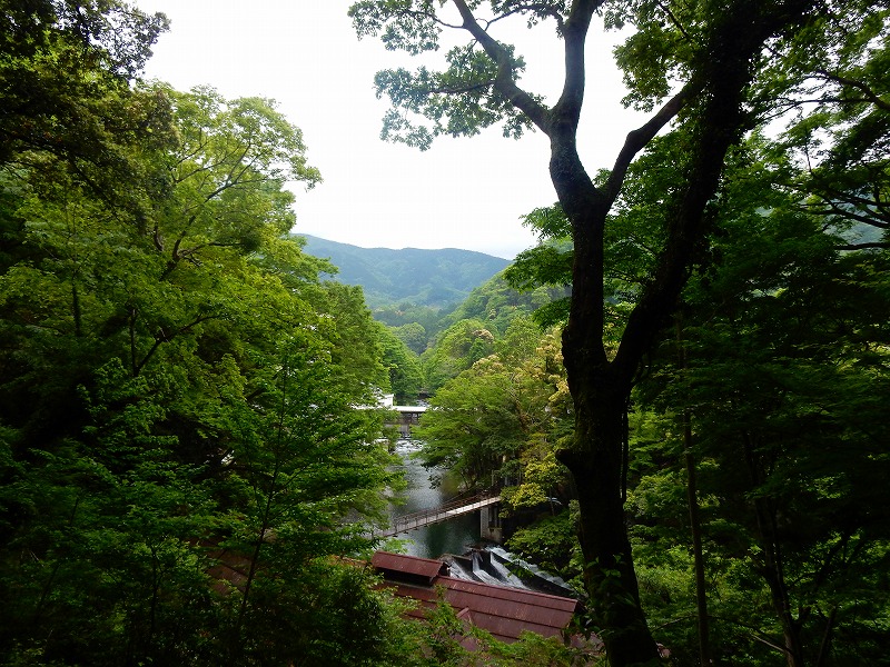 f0182513_23284649.jpg