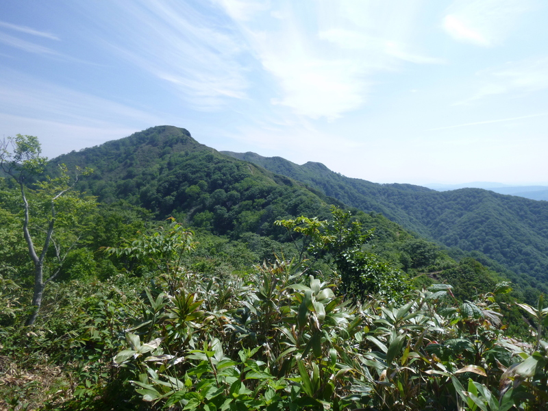 d0170615_1047282.jpg