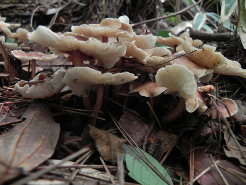 e0352220_09130013.jpg