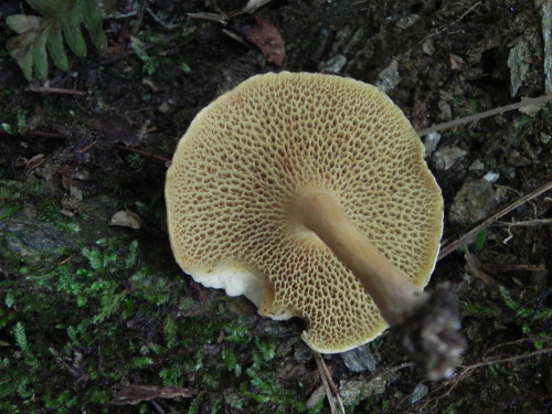 e0352220_09212659.jpg