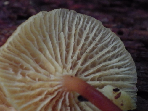 e0352220_09300122.jpg