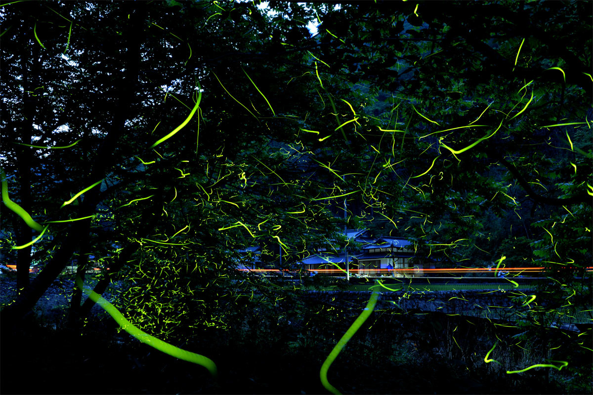 d0029829_07321872.jpg