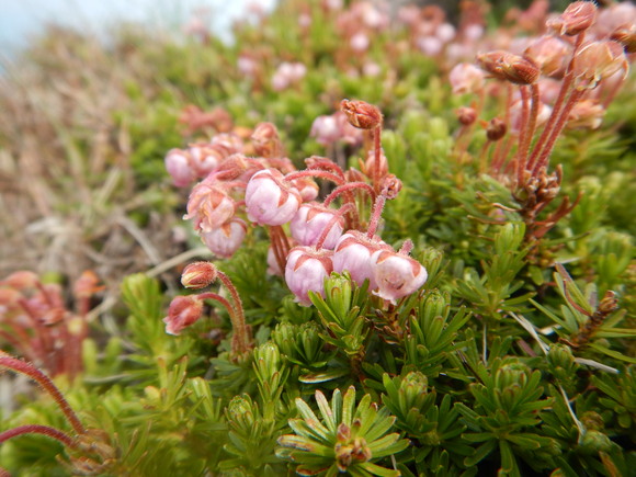 f0118332_23114287.jpg